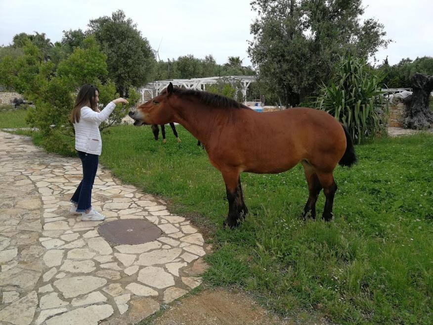 Masseria Sciaiani Piccola Villa Castelli Екстериор снимка