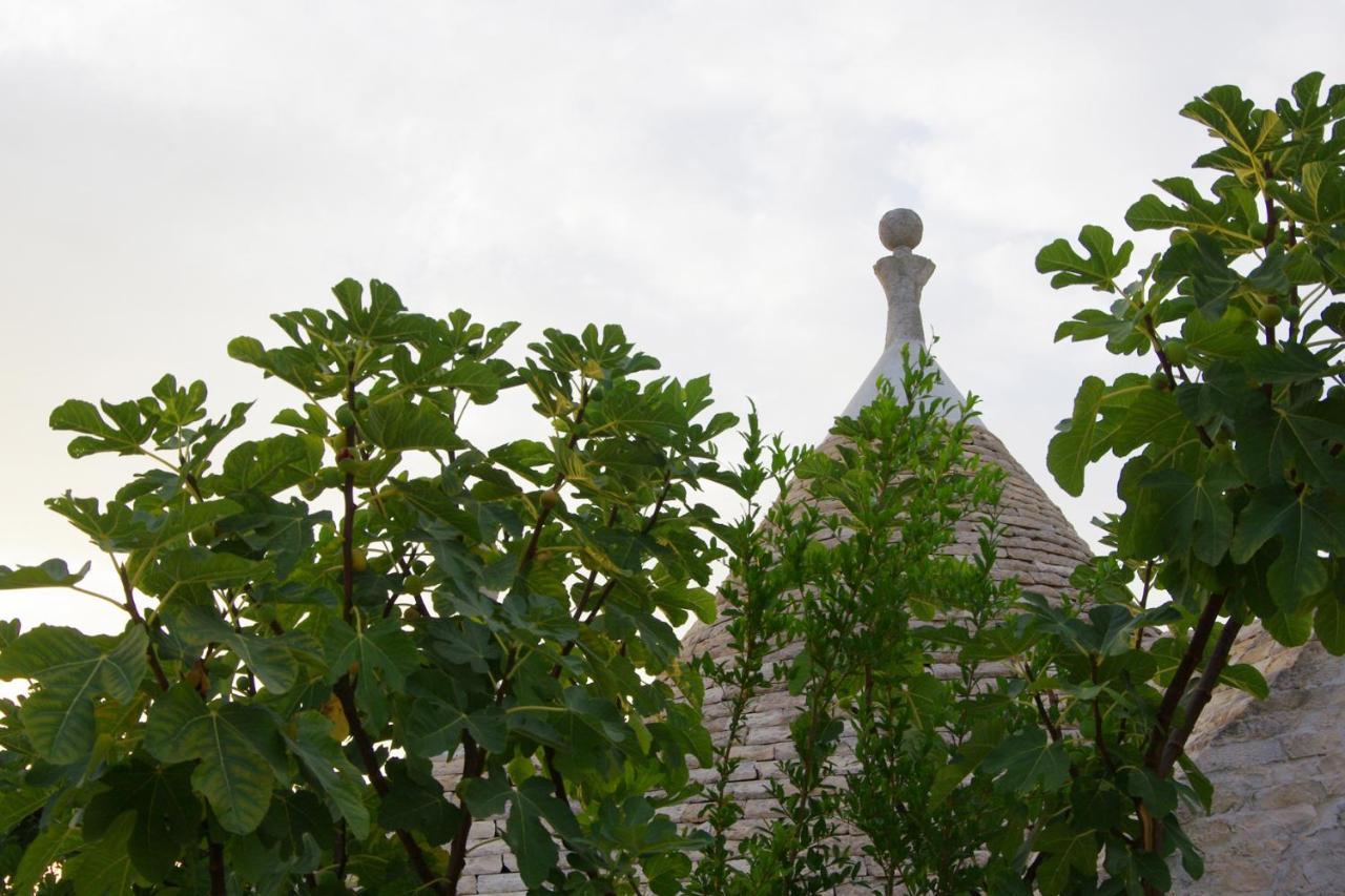Masseria Sciaiani Piccola Villa Castelli Екстериор снимка