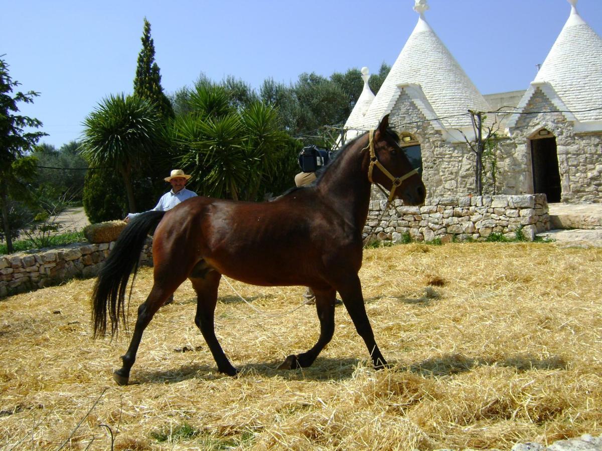 Masseria Sciaiani Piccola Villa Castelli Екстериор снимка