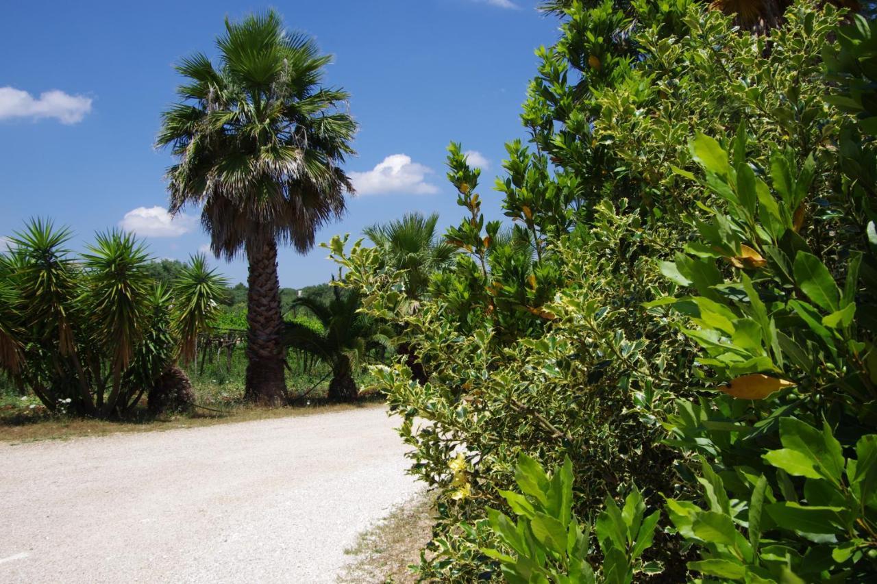 Masseria Sciaiani Piccola Villa Castelli Екстериор снимка